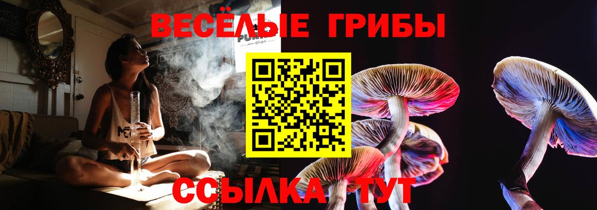 Галлюциногенные грибы прущие грибы Звенигород